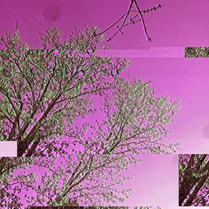 Regenerate Degeneration (Explicit)