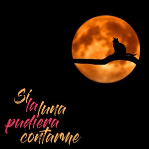 Si La Luna Pudiera Contarme