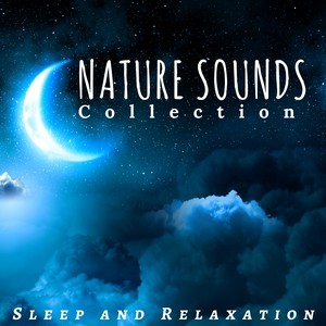 Nature Sounds Collection: Sleep and Relaxation, Nature Sounds, Water Sounds, Guitar & Piano Music, New Age Meditation Music