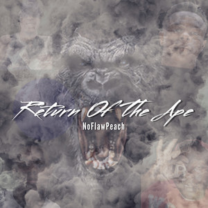 SHOTTAZ FLOW (Explicit)