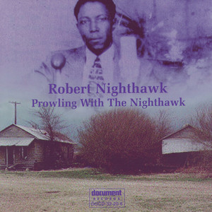 Robert Nighthawk - Lonesome World (Remaster)