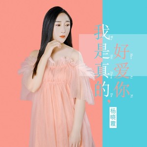 我是真的好爱你 (DJ沈念版) - 杨晓霞封面