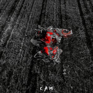 Coping(freestyle)(feat. C A M) (Explicit)