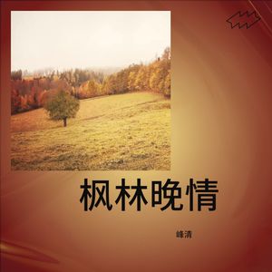 枫林晚情