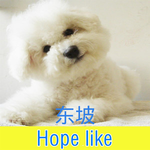 苏可可 - 牵丝戏 (Remix)