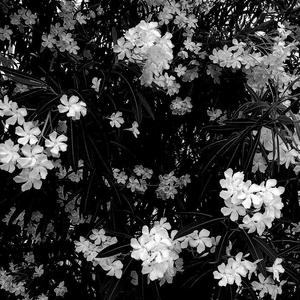 XXXTentacion (CHENY Remix)