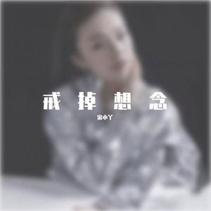 戒掉想念 伴奏2b