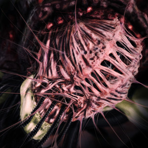 Op. 102 (feat. HALYZE)