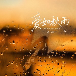 爱如秋雨 (DJ九零版)