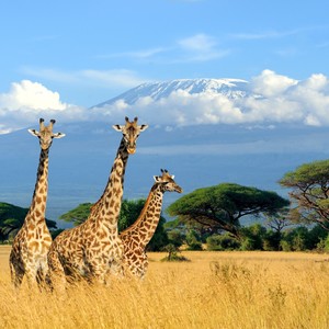 Despierta (Explicit)