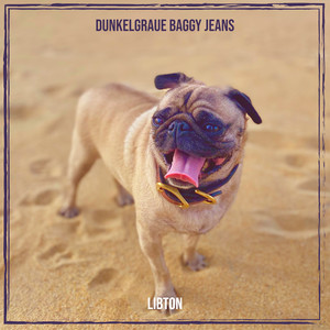 Dunkelgraue Baggy Jeans (Explicit)