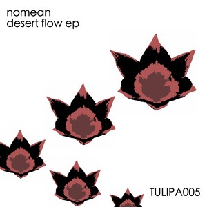 Desert Flow (Original Mix)