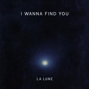 I Wanna Find You