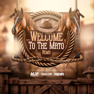 Welcome to the mato (Remix)