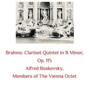 Clarinet Quintet in B Minor, Op. 115 - I. Allegro