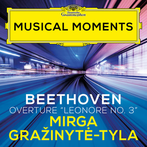 Beethoven: Overture "Leonore No. 3", Op. 72b (Musical Moments)