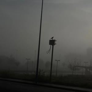 Solo (feat. 3XL) (Explicit)