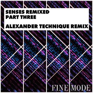 Senses (Alexander Technique Remix)