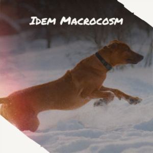 Idem Macrocosm