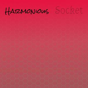 Harmonious Socket
