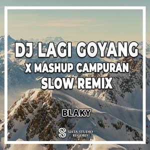 DJ Lagi Goyang X Mashup Campuran Slow Remix