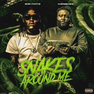 Snakes Around Me (feat. BHM Facts) (Explicit)