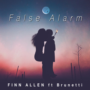 False Alarm (Inst.)