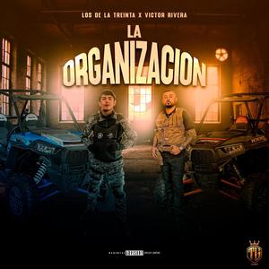 La organizacion