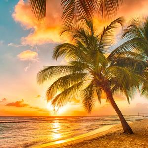 Good Life (feat. Lil Bhris) (Explicit)