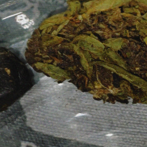 I can't feel my body (Explicit)