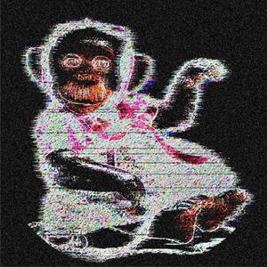 Schimpansen Schranzen