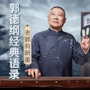 说相声就好好说相声，别整那些没用的！ (DJ长音频)封面