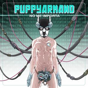 NO ME IMPORTA (MIST3RFLY REMIX)