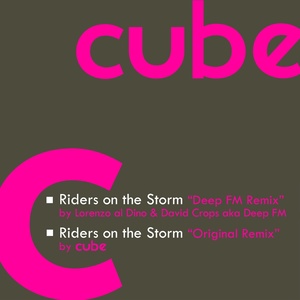 Riders On the Storm (Remix)