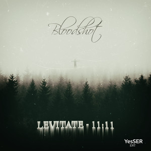 Levitate 11:11 (Explicit)