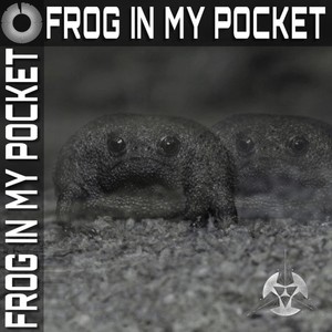 Frog in My Pocket