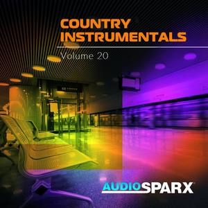 Country Instrumentals Volume 20