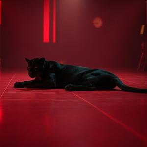 Calor Animal (feat. Nena Usa)