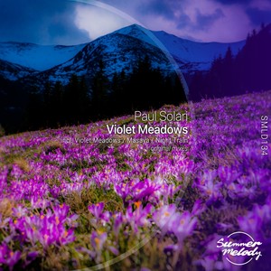 Violet Meadows (Original Mix)