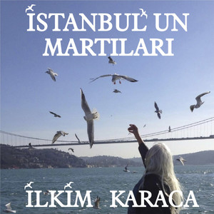 İstanbul'un Martıları