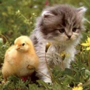 Una ultima vez (feat. Swaggermechi) (Explicit)