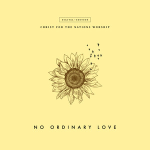 No Ordinary Love