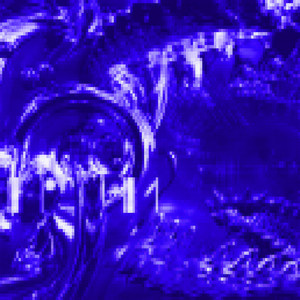 the bird that never came back