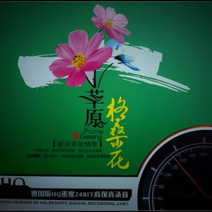 爱上草原爱上你封面