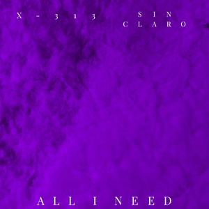 All I Need (feat. X-313)