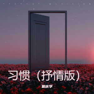 习惯 (抒情版)