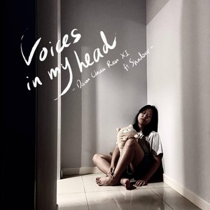 Voices in My Head (feat. Shadoxir)