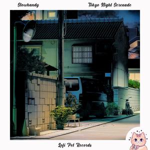 Tokyo Night Serenade