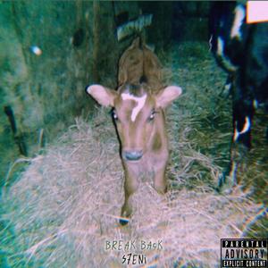 BREAK BACK (SHAQ) (Explicit)