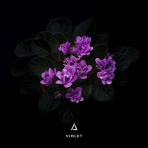 Violet